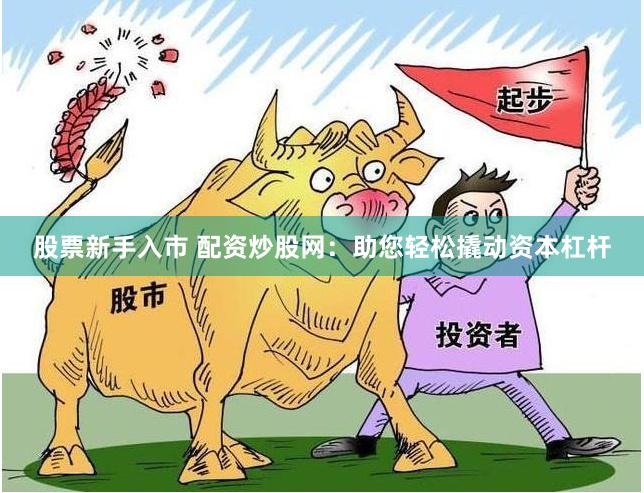 股票新手入市 配资炒股网：助您轻松撬动资本杠杆