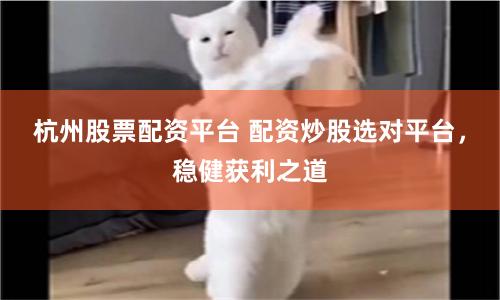 杭州股票配资平台 配资炒股选对平台，稳健获利之道