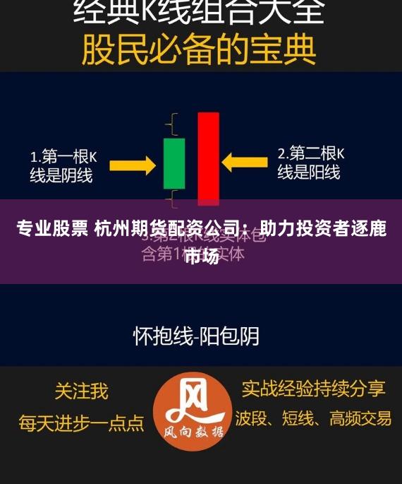 专业股票 杭州期货配资公司:助力投资者逐鹿市场
