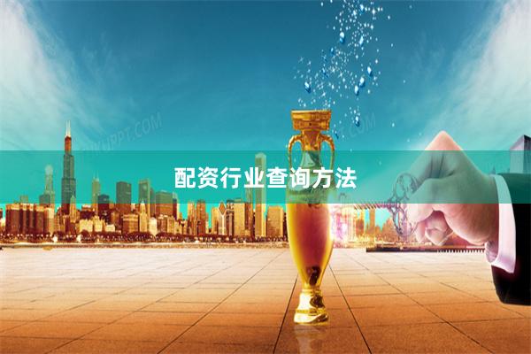 配资行业查询方法