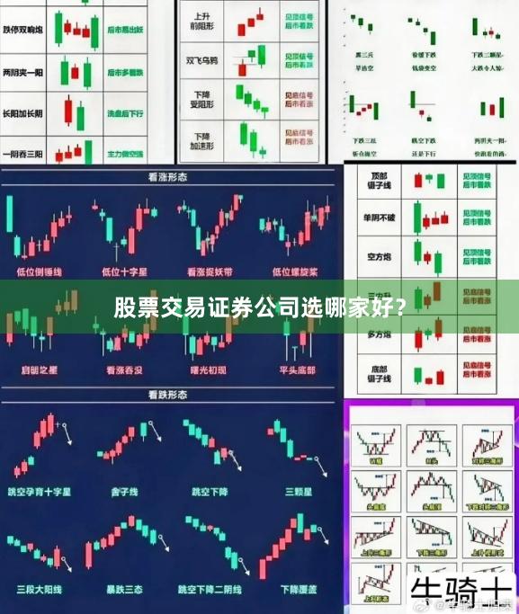 股票交易证券公司选哪家好？